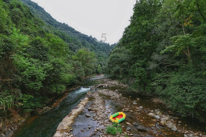 炒股和基金定投哪个更有风险?哪个值得推荐游戏画面